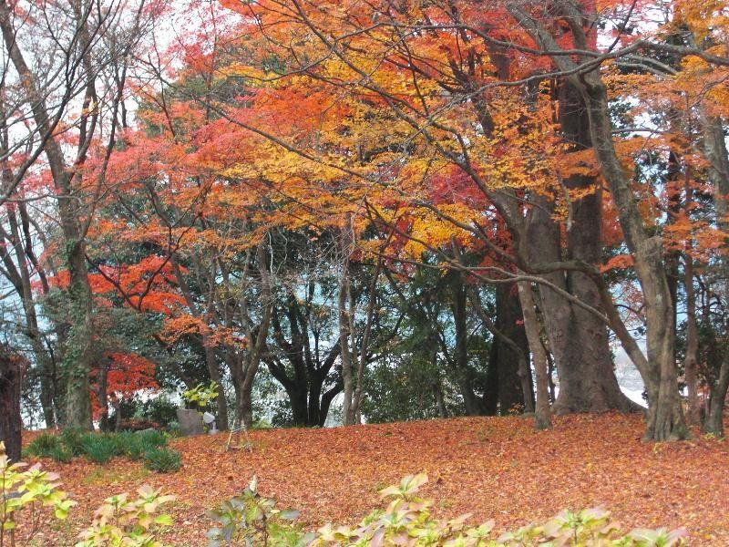 Hotel Baien Oita Esterno foto